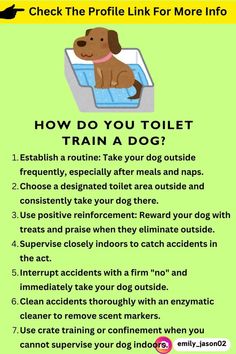 a dog sitting on top of a bath tub with the words how do you toilet train a