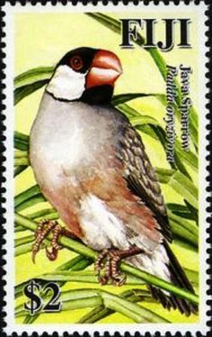 a postage stamp with a bird on it's back and green leaves in the background