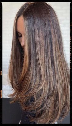 Balayage Straight Hair, Golden Brown Hair Color, Brown Straight Hair, Rambut Brunette, Golden Brown Hair, Brown Hair Looks, Brunette Hair With Highlights