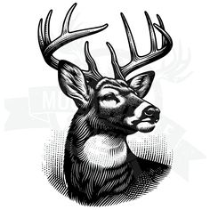 a black and white drawing of a deer with antlers on it's head