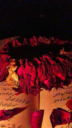 an open book with writing on it and red flowers in the middle next to it