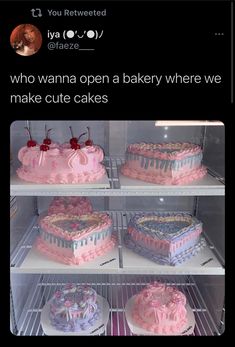 three cakes on shelves in a refrigerator with caption that reads, who wanna open a bakery where we make cute cakes?