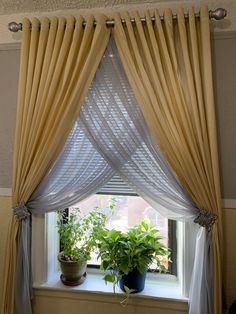 a window with curtains and plants in it