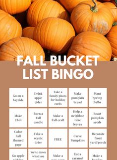 a bunch of pumpkins with the words fall bucket list bingo on top of them