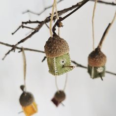 small knitted ornaments hanging from a tree branch