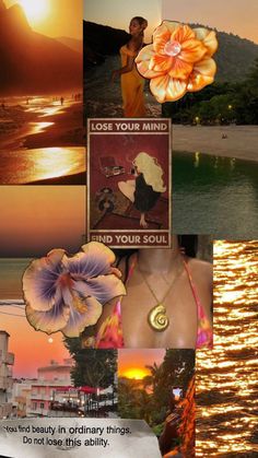 a collage of pictures with flowers and the sun setting in the sky above them