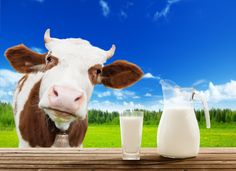 Cows Milk Allergy, Milk Store, Farm Fresh Milk, Organic Meat, Uber Ride, Vegan Cafe