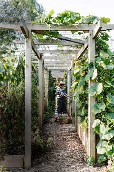 a woman is standing in the middle of a garden with lots of green plants on it