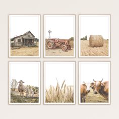 four pictures of farm animals in front of hay bales and an old house on the other side