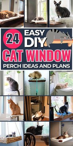 the book cover for easy diy cat window perch ideas and plans, with pictures of cats sitting on windowsills