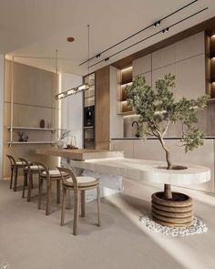 a dining room with a table and chairs next to a bonsai tree in the center