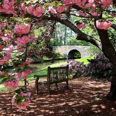 a park bench under a tree with pink flowers on it and a stone bridge in the background