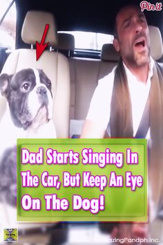 a man in a car with a dog on his lap and the words dad starts singing in the car, but keep an eye on the dog