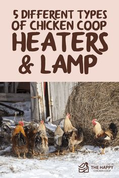 five different types of chicken coop heaters and lamp in the snow with text overlay that reads, 5 different types of chicken coop coop heaters & lamp