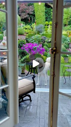 an open patio door with a white dog in the background and purple flowers on the other side