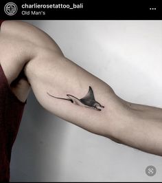 a man's arm with a bird tattoo on it