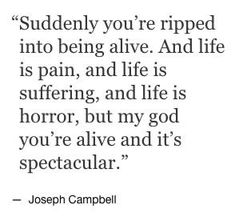 joseph campbell quote about being alive and life