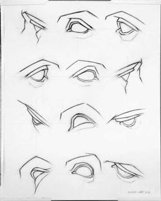 various types of eyes drawn in pencil