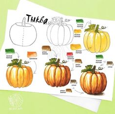 a drawing of pumpkins with their names and pictures on them, including the top one in