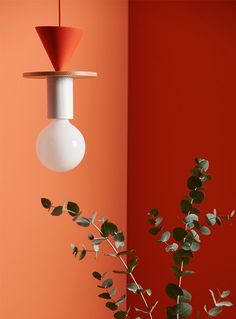 a plant in a vase next to a red wall with a light bulb hanging from it