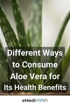 Aloe has been used for centuries for beauty and health to help treat inflammations, infections, burns, indigestion, and swelling, and the list goes on. You can consume aloe vera to reap the maximum benefits. Benefits Of Aloe Vera, Aloe Vera Drink, Stomach Cramps, Aloe Juice, Papaya Fruits, Aloe Gel, Beauty And Health, Aloe Leaf, Aloe Vera Juice