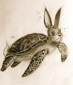 a pencil drawing of a turtle with feathers on its back