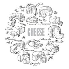 hand drawn cheeses in the shape of a circle