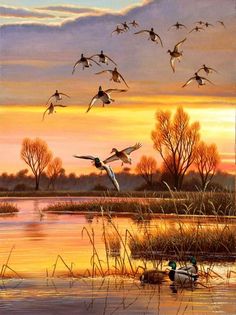 a painting of ducks flying over a lake at sunset