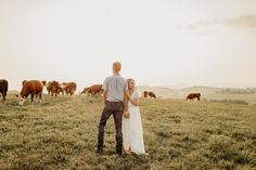 a man and woman standing in the middle of a field with cows grazing behind them