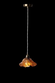 a light that is hanging from a ceiling fixture on a black background with the lights turned on