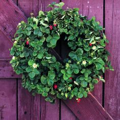 a wreath hanging on the side of a wooden door