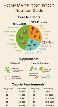 the ultimate guide to healthy dog food info