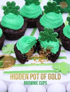 chocolate cupcakes with green frosting and shamrock decorations on top, surrounded by gold coins