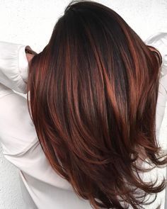 Hair Color Ideas For Brunettes Balayage, Dark Auburn Hair, Auburn Balayage, Rambut Brunette, Red Balayage, Latest Hair Color, Fall Hair Color For Brunettes, Copper Hair Color, Hair Color Auburn