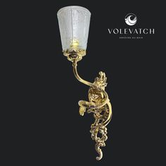 a wall light with a glass shade on it's arm and an ornate design