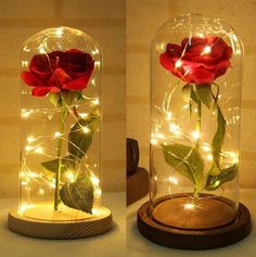 two red roses in a glass dome with fairy lights on the inside and behind them