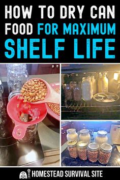 how to dry can food for maximum shelf life