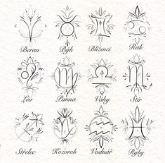 an image of the zodiac signs in different font and numbers, including one for each letter