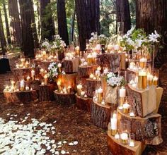 many candles are lit in the woods with white flowers and greenery on each tree stump