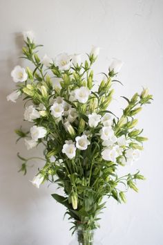 a vase filled with white flowers on top of a table