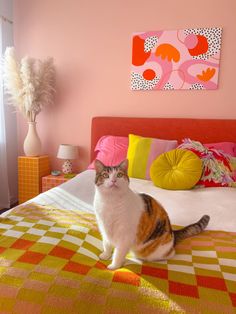 a cat sitting on top of a bed in a room with pink walls and furniture