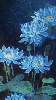 some blue flowers are in the water