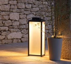 an outdoor lantern lit up next to a potted plant and stone wall at night