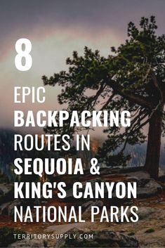 a tree with the words epic backpacking routes in sequa and kings canyon national parks