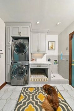 a dog laying on the floor in front of a washer and dryer