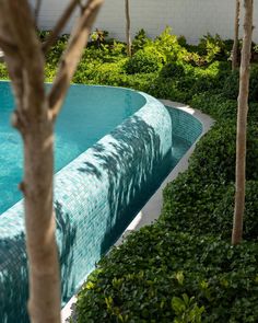 an empty swimming pool surrounded by trees and bushes