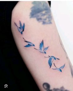 a blue bird tattoo on the right arm and left arm with two birds flying around it