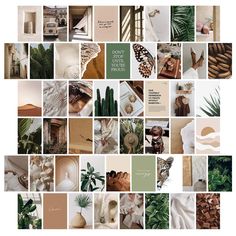 a collage of photos with plants and other things in them that are arranged into the shape of a rectangle