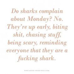 a quote that reads, do sharks complain about monday? no they're early