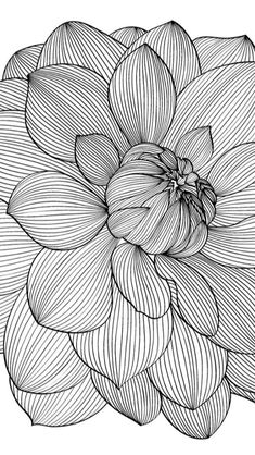 a black and white drawing of a flower